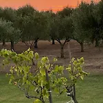Casale Pietrantica Tropea Bed & Breakfast