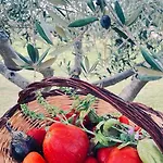 Bed & Breakfast Casale Pietrantica Tropea Ciaramiti