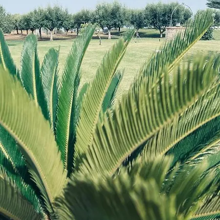 Casale Pietrantica Tropea 4* Ciaramiti
