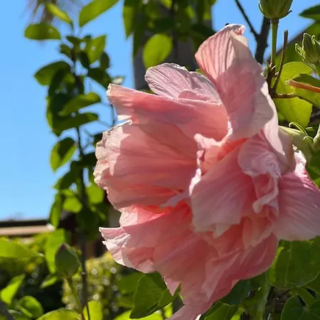Casale Pietrantica Tropea Ciaramiti
