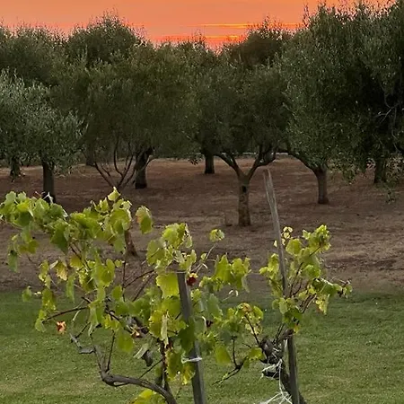 Casale Pietrantica Tropea לינה וארוחת בוקר
