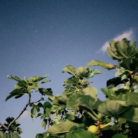 B&B Casale Pietrantica Tropea