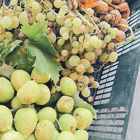 Casale Pietrantica Tropea 4*