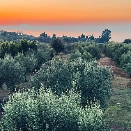 Frühstückspension Casale Pietrantica Tropea 4*