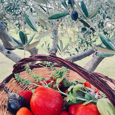 לינה וארוחת בוקר Casale Pietrantica Tropea Ciaramiti