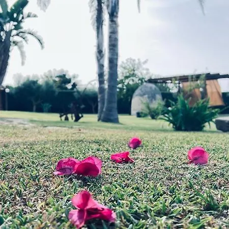 Casale Pietrantica Tropea 4* Ciaramiti