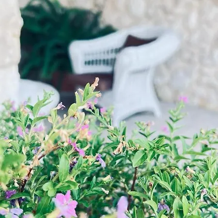 Casale Pietrantica Tropea 4*