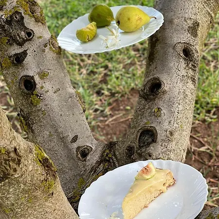 Casale Pietrantica Tropea B&B Ciaramiti
