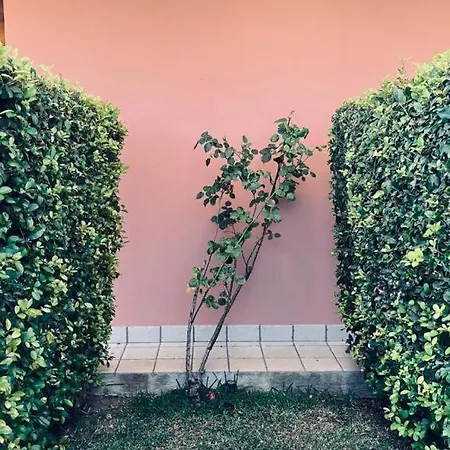 Casale Pietrantica Tropea Bed & Breakfast Ciaramiti