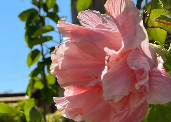 Casale Pietrantica Tropea Ciaramiti