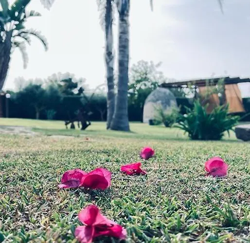 Casale Pietrantica Tropea 4* Ciaramiti