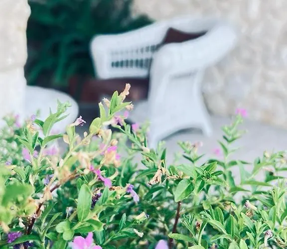 Casale Pietrantica Tropea 4*